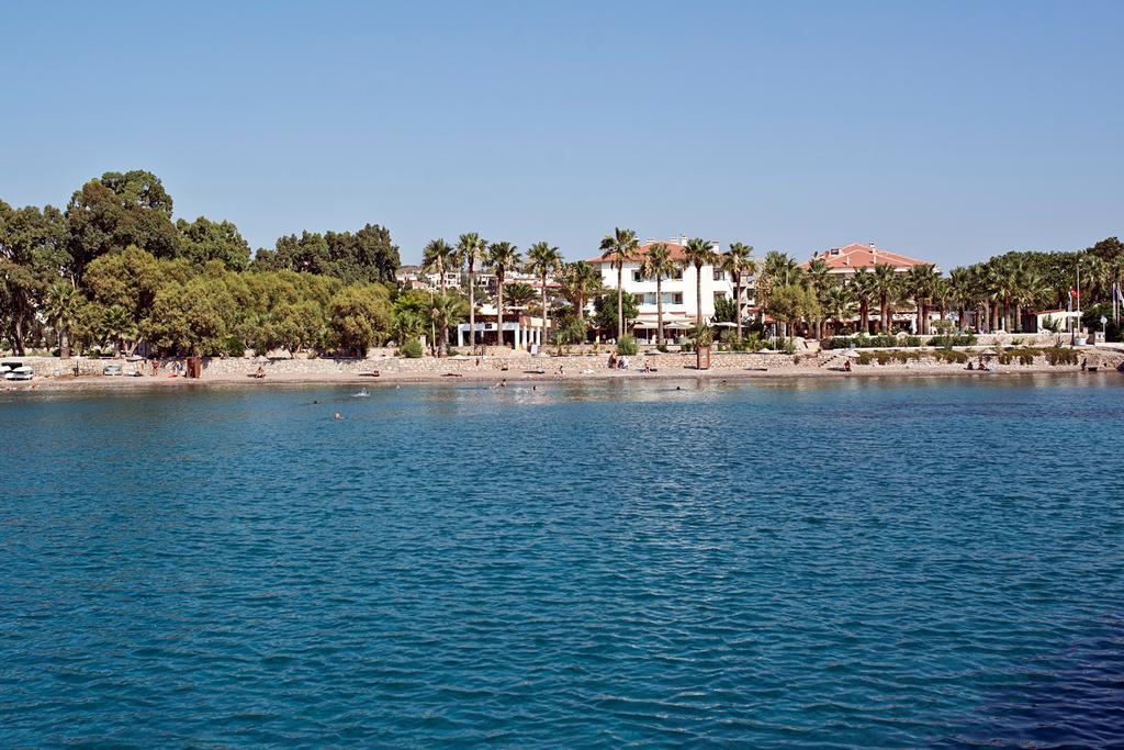 Mare 3*