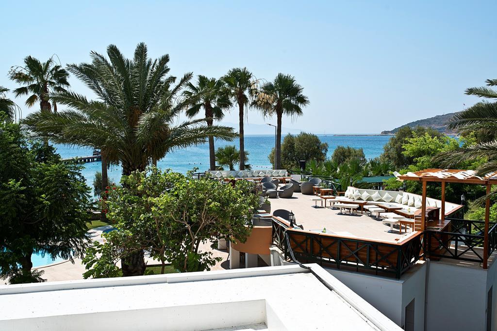 Mare 3*